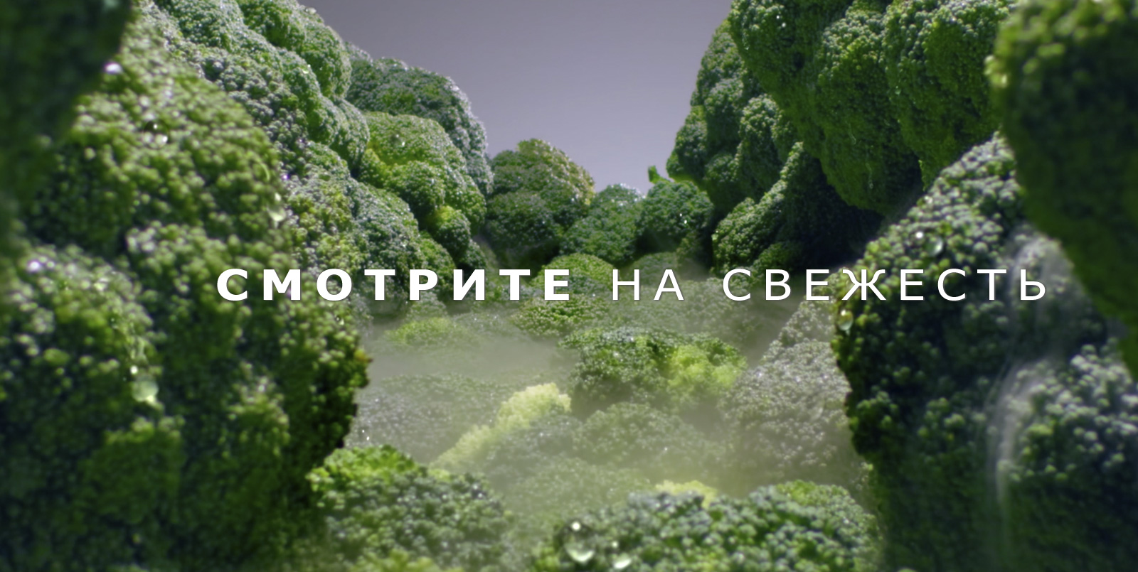 REF-Omega2-Basic-PlatinumSilver3-02-2-LINEARCooling-Desktop