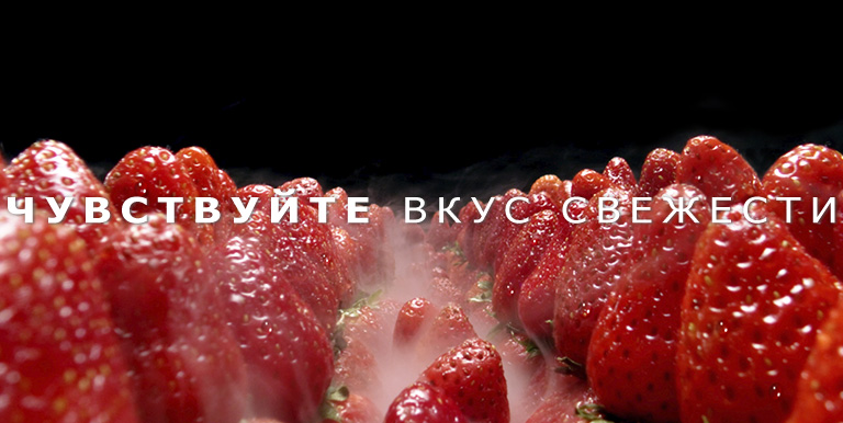 REF-Omega2-Basic-PlatinumSilver3-02-4-LINEARCooling-Mobile