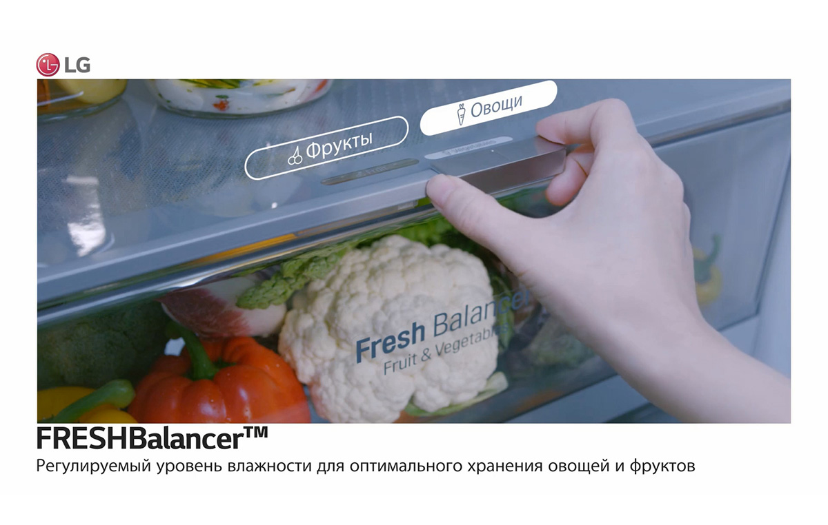 Video_feature_D_large02