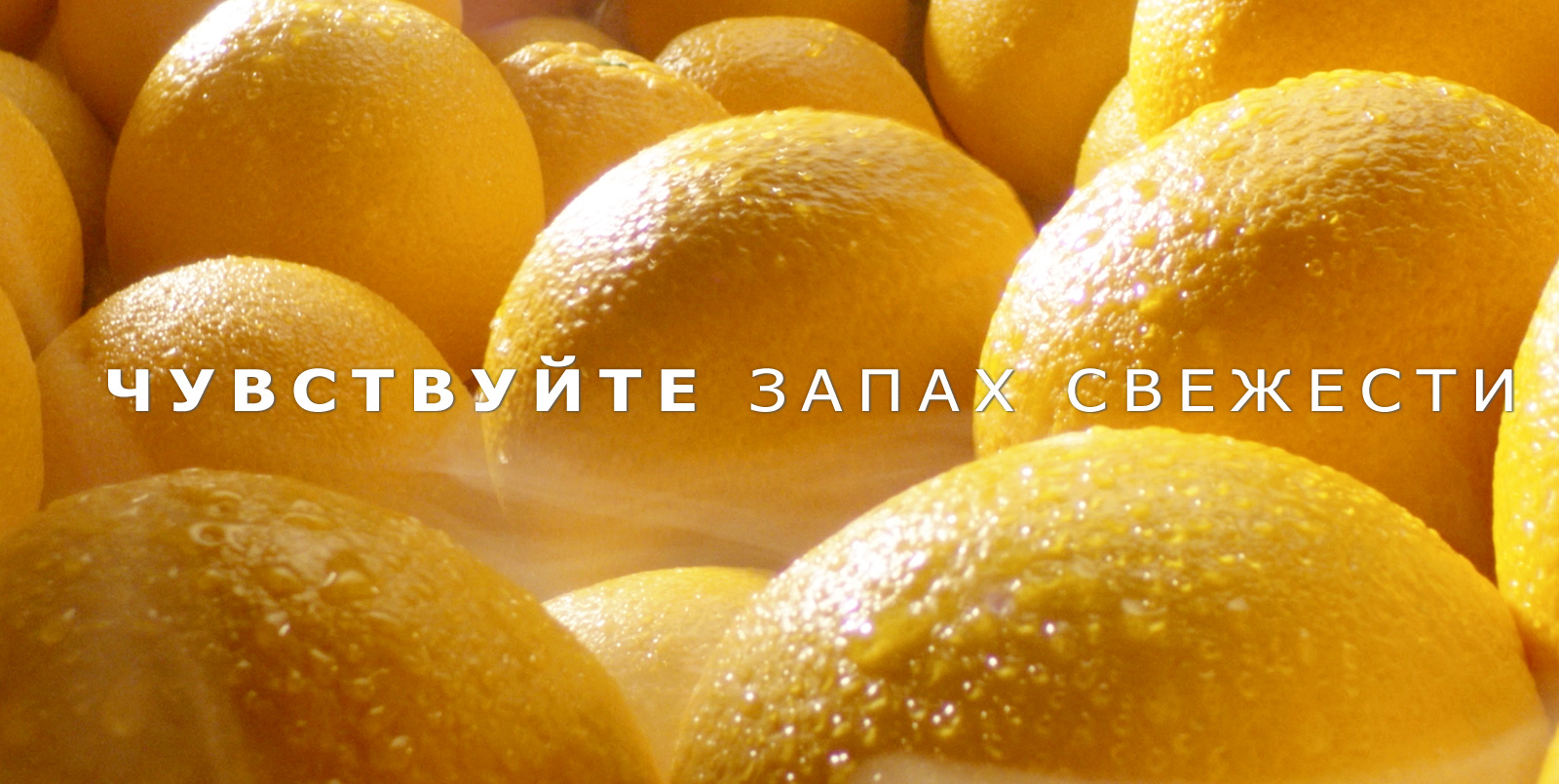 Поддерживайте свежесть продуктов в течение более длительного времени