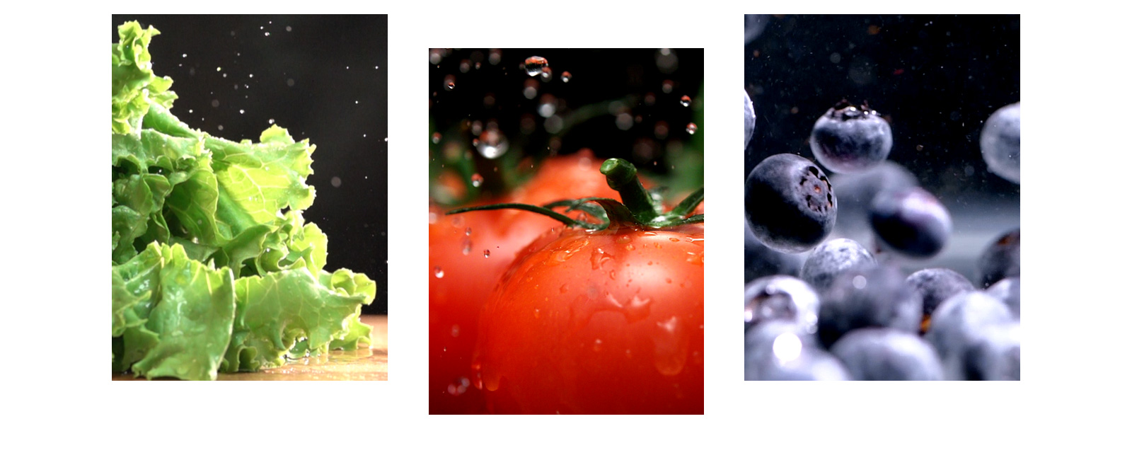 fruits and vegetables such as lettuce, tomatoes, and blueberries are freshly preserved in the product.