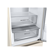 LG 387Л, Холодильник с нижней морозильной камерой | LG Узбекистан, Детальный вид диспенсера для воды, GC-B509FEPW, thumbnail 10