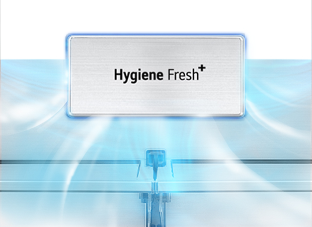 Гигиенический фильтр Hygiene Fresh+ и серые стрелки