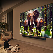 LG 75-дюймовый телевизор Smart&nbsp;TV LG QNED evo AI QNED86 MiniLED 4K 2025&nbsp;года, Девушка и собака сидят перед телевизором LG QNED TV, установленным на стене, на экране которого изображены три слона, идущих наружу, над панелью LG Soundbar. Заголовок рассказывает о том, как каждое д, 75QNED86A6A, thumbnail 14