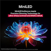 LG 75-дюймовый телевизор Smart&nbsp;TV LG QNED evo AI QNED86 MiniLED 4K 2025&nbsp;года, Голографический 3D-цветок со множеством тонов и оттенков на черном фоне. Разрешение и детализация изображения цветка демонстрируют возможности технологии QNED MiniLED воспроизводить изображения с искл, 75QNED86A6A, thumbnail 8