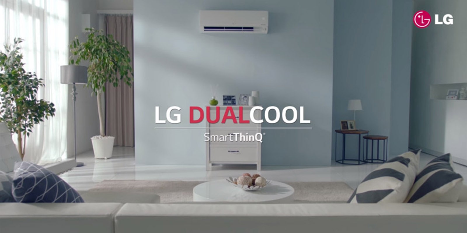 LG DUAL COOL