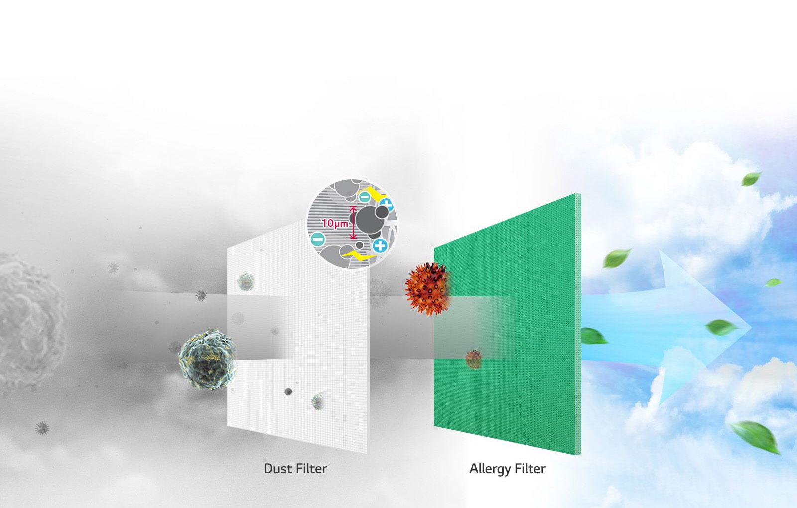 RAC-Filtration-System-D_v