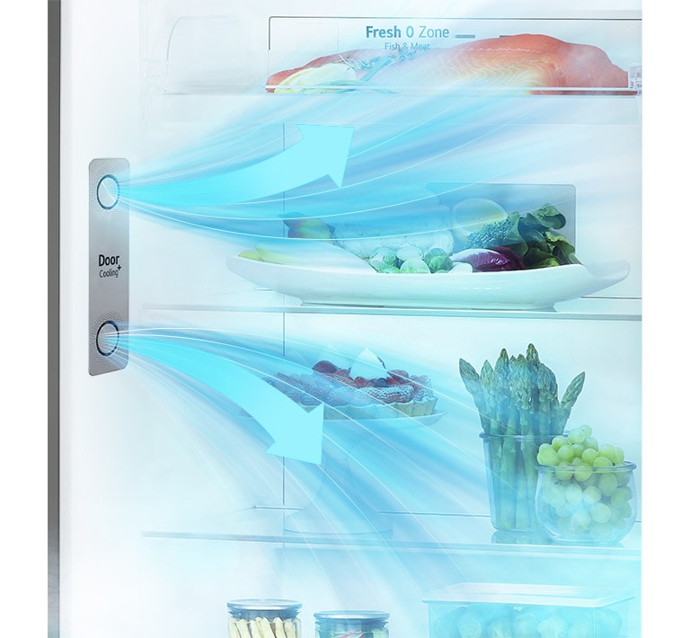 LG Smart Inverter™ 360L Tủ lạnh ngăn đá trên với công nghệ Door Cooling (Đen) | LG Việt Nam