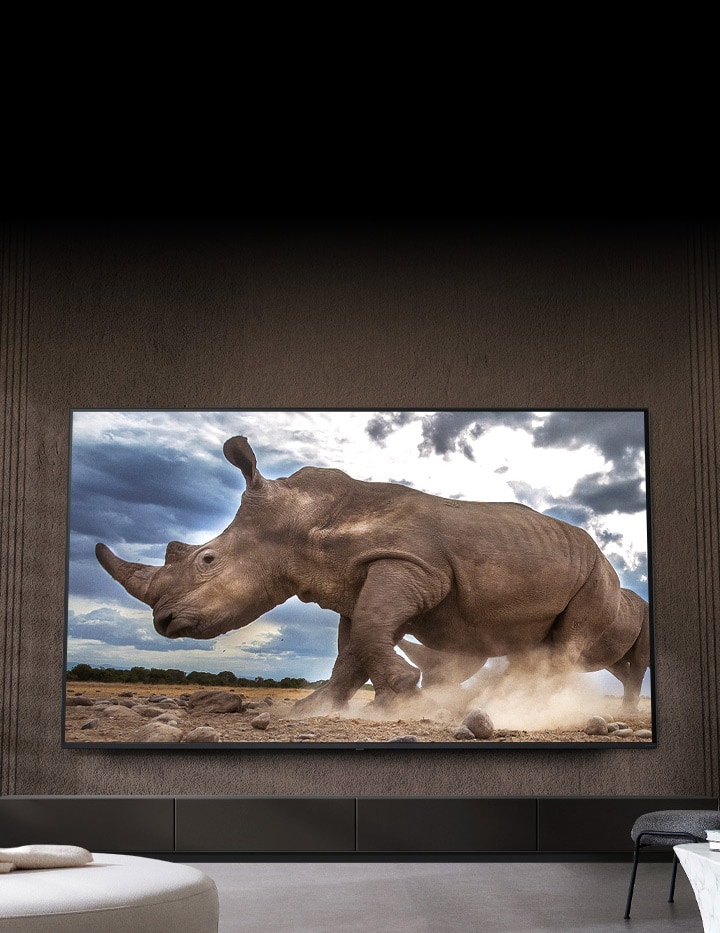 Một con tê giác trong khung cảnh safari được chiếu trên TV Ultra Big LG, gắn trên bức tường màu nâu của phòng khách được bao quanh bởi đồ nội thất mô-đun màu kem.