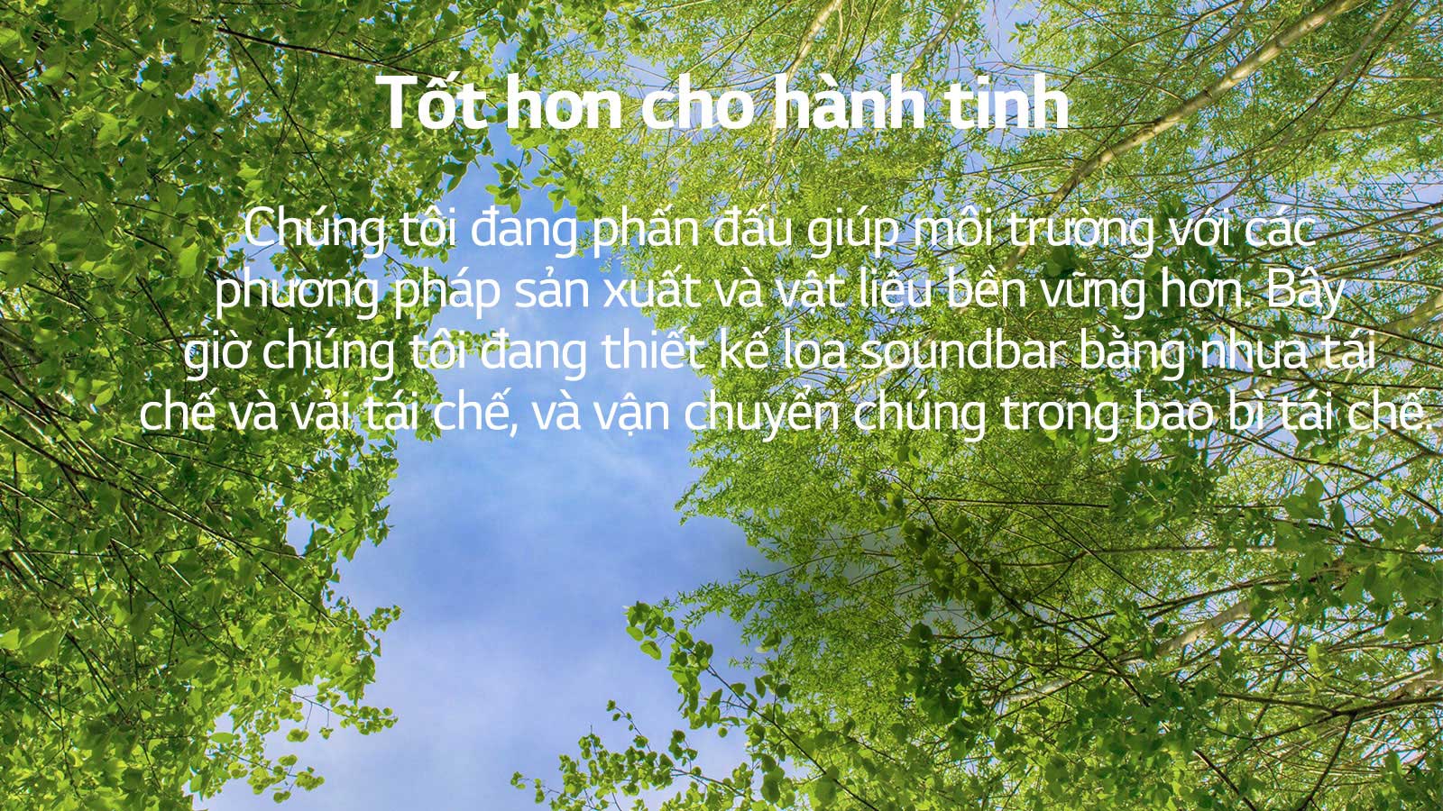 Hình ảnh màu xanh lá cây với vô số cây nhiều lá và một bầu trời được hiển thị ở giữa