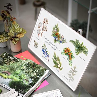 StanbyME được đặt ngay trước một bàn làm việc chứa đầy tạp chí và cây nhỏ. Màn hình hiển thị một bộ sưu tập các loại cây khác nhau và hệ thực vật của chúng.