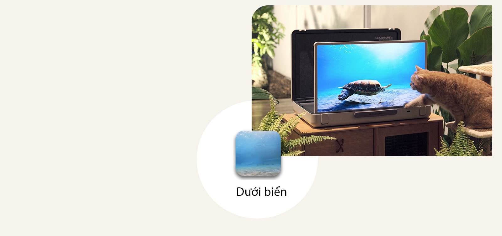 LG StanbyME Go được đặt trong 1 khu vườn và màn hình hiển thị dưới biển.  Trước màn hình, một con mèo đang ngồi trên ghế đẩu, cố gắng bắt một con rùa trên màn hình. 