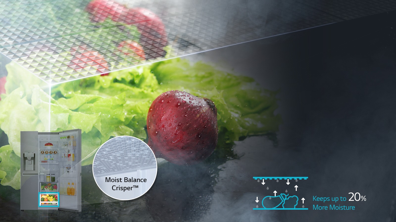 LG Fridges -  Moist Balance Crisper