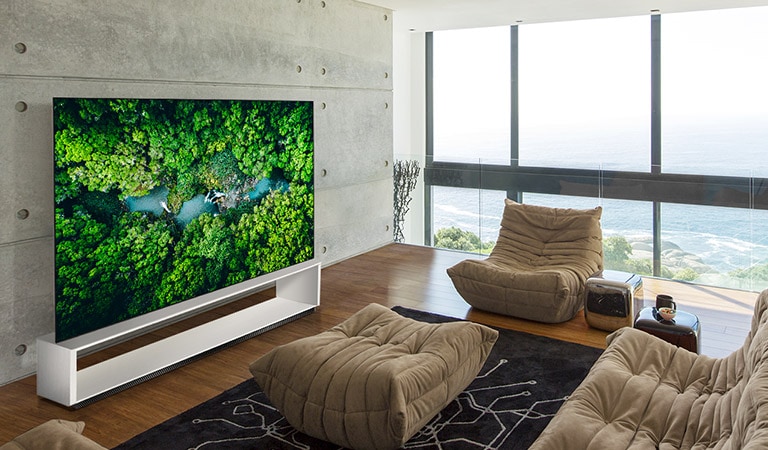 Luxurious living room with a sofa and a TV showing an aerial view of nature