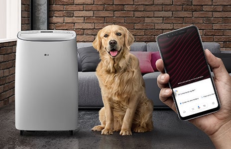 Ar condicionado portatil