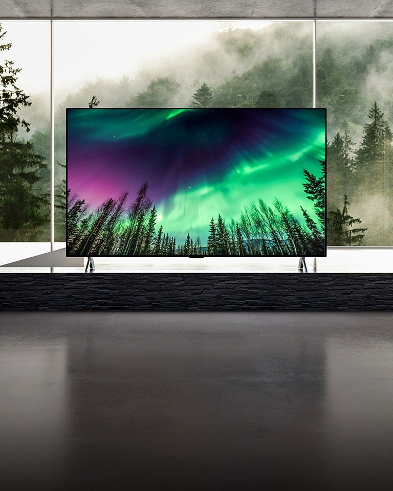 Camera moves from a close-up of top of TV down to a close-up of front of TV. TV screen shows green aurora. Camera zooms out to show very wide living room area. The living room is gray overall and there shows a forest through window outside.