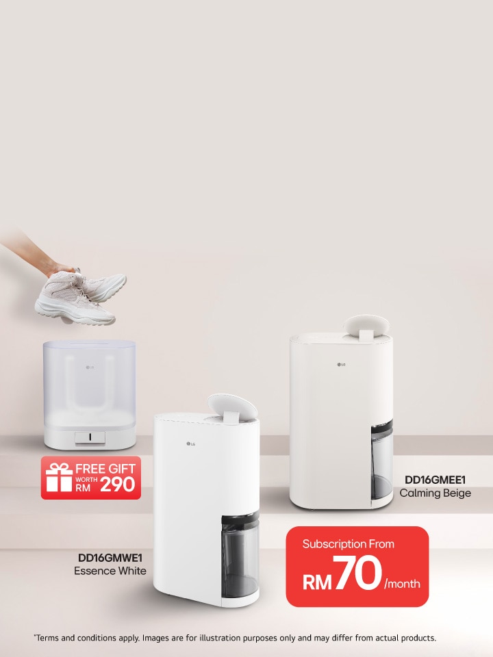 Goodbye Dampness, Hello Comfort.