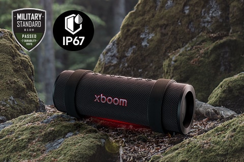 will.i.am bir stüdyoda monitörlere bakarak çalışıyor.