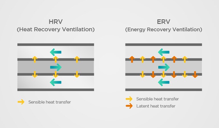 Question 3. What is the difference between an HRV and ERV?