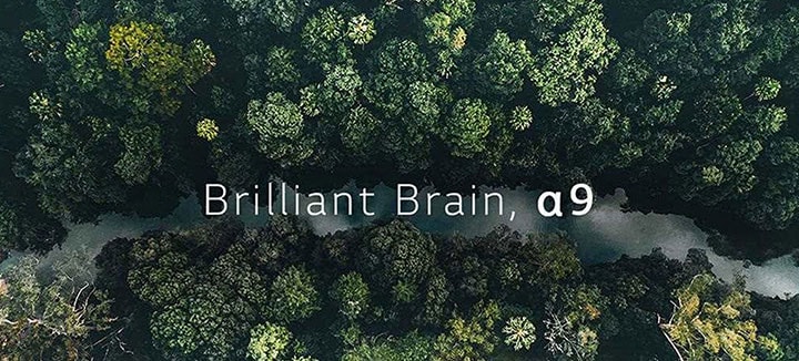 LG's new oled tv w8 announced at ces 2018 has brilliant alpha 9 processor to deliver unimaginable enhanced experience