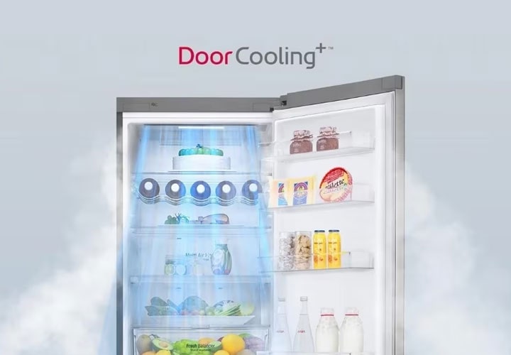 Get savvy with your fridge to reduce food waste