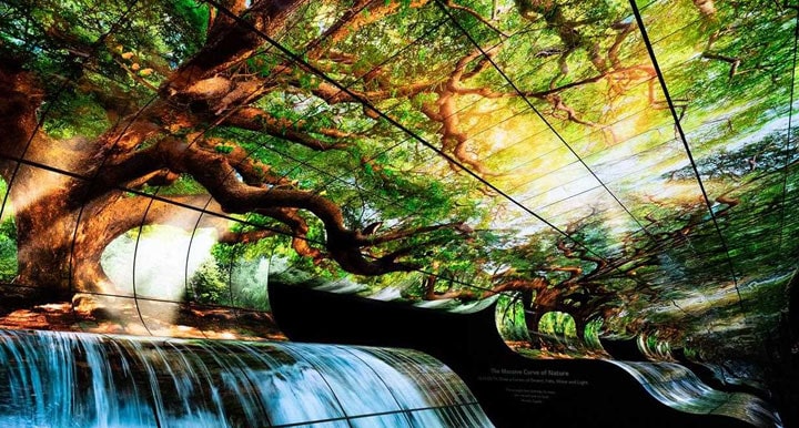 Make your signage shine with LG OLED displays