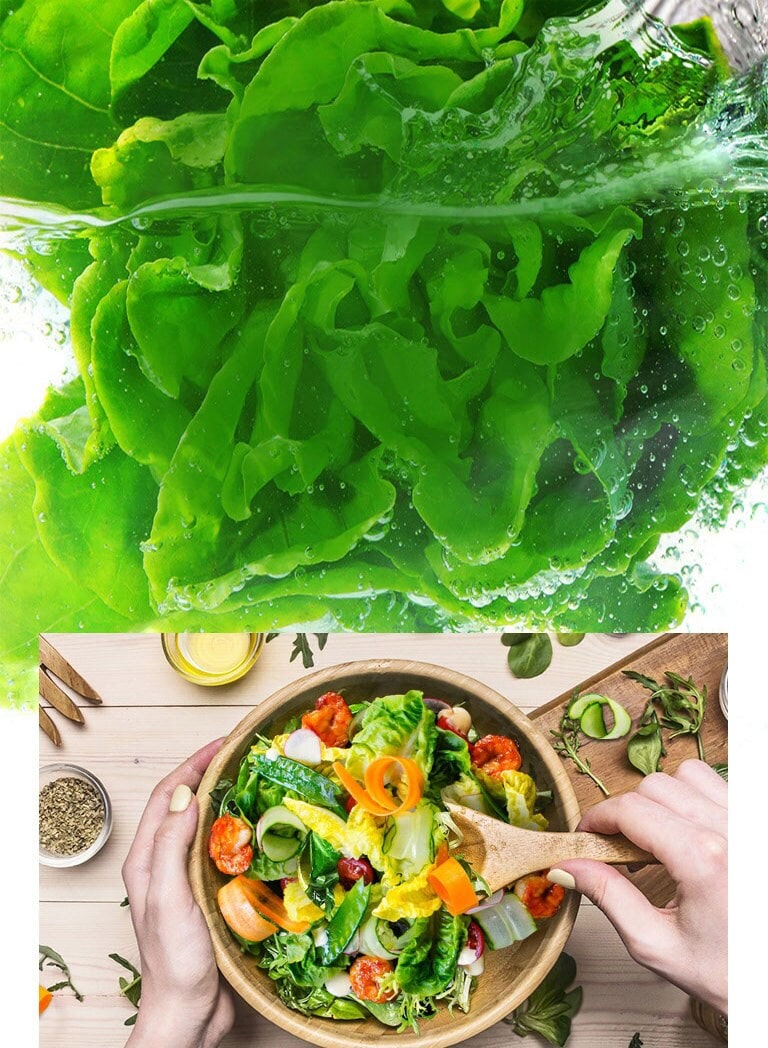 Giữ đồ ăn tươi ngon lâu hơn