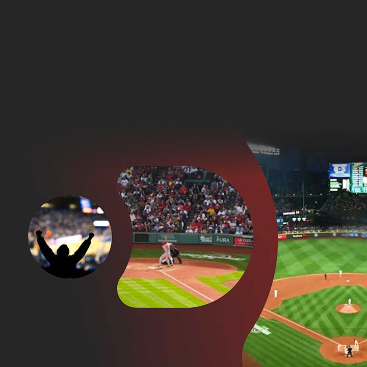 Baseball stadium scene. On the left, a silhouette of a cheering fan with raised arms. In the center, a batter at home plate preparing to swing while the catcher and umpire are in position, with a crowd of spectators in the stands. On the right, a wide view of the field and scoreboard under stadium lights