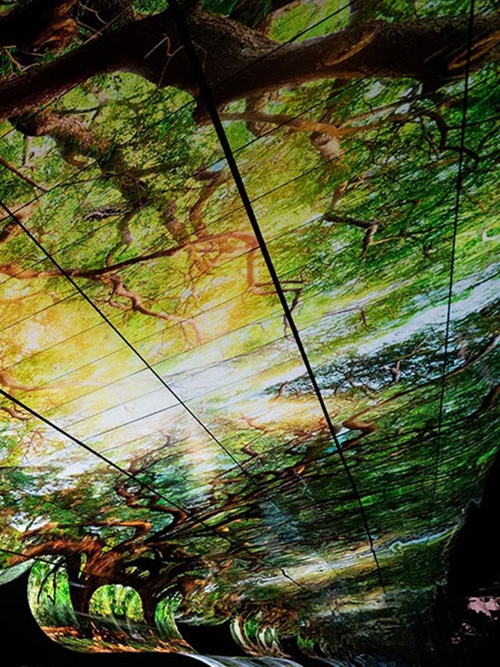 ID-Banner-Hero-2019-D_1550837606377