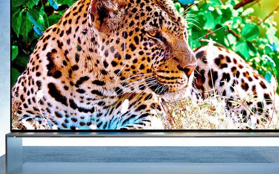 The LG 8K TV was on show at IFA 2019, and it was more stunning than ever before | More at LG MAGAZINE