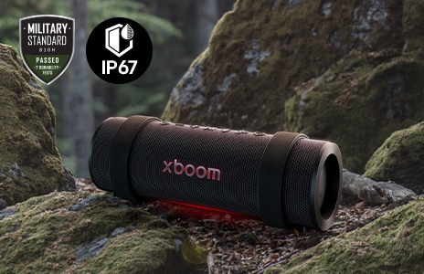 Xboom speaker in a forrest