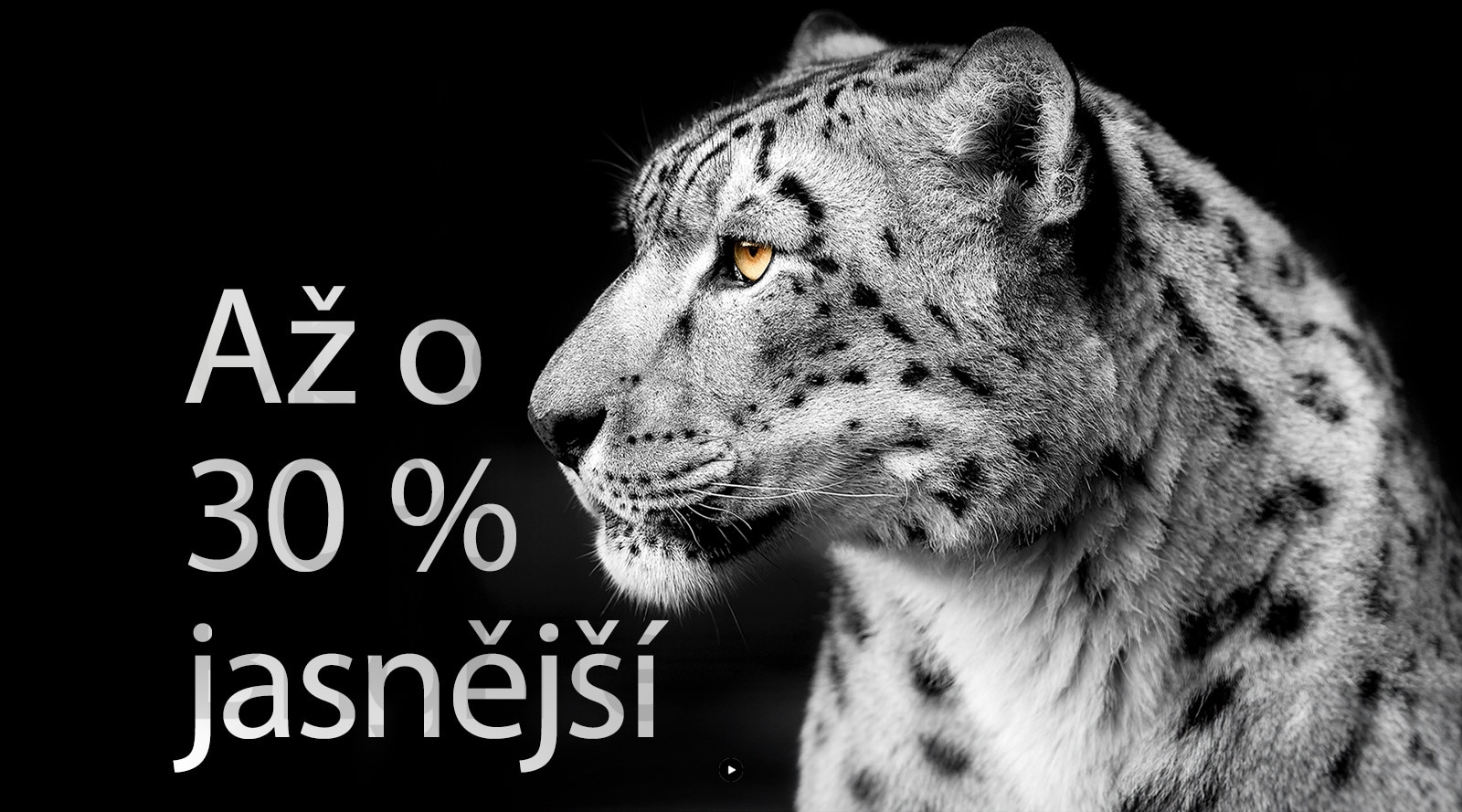 Bílý leopard ukazuje svou boční tvář na levé straně snímku. Nápis „Až o 30 % jasnější“ se zobrazuje vlevo.
