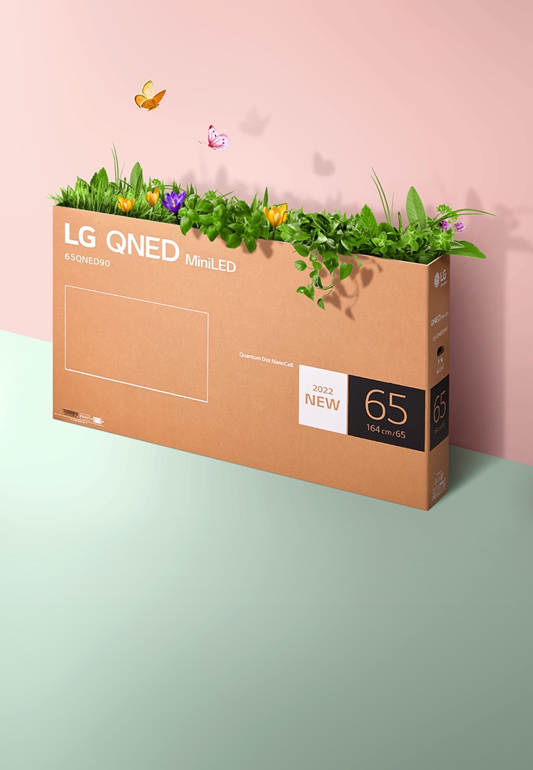 En QNED-emballagekasse er placeret på en lyserød, grøn baggrund, og der vokser græs, og sommerfugle kommer ud indefra. 