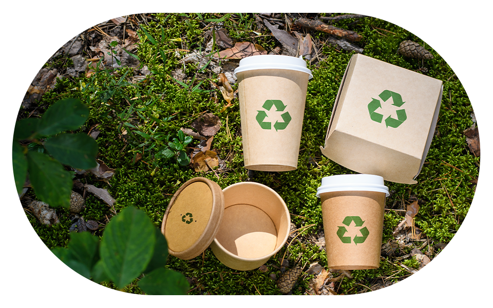 ανακυκλώσιμο κύπελλο καφέ και κουτί μπιφτεκιών