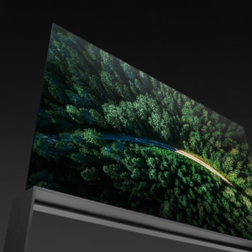 LG SIGNATURE OLED 8K su uno sfondo scuro con una vista dall'alto di una foresta sullo schermo.