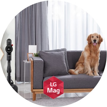 Чистая работа: как пылесосы LG помогают в уборке хозяевам домашних питомцев